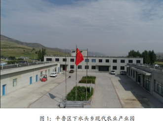 【抓党建促基层治理】平鲁区下水头乡：抓产业促致富 助力乡村振兴