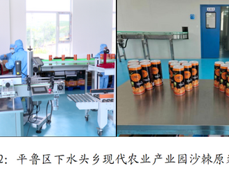 【抓党建促基层治理】平鲁区下水头乡：抓产业促致富 助力乡村振兴