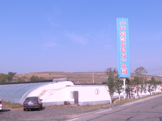 【抓党建促基层治理】平鲁区井坪镇：设施农业焕生机 种出致富好“钱”景