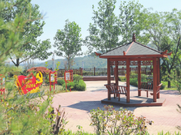 治矿植绿绘新景 重现山西好风光——我省采煤沉陷区和历史遗留矿山生态治理纪实