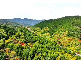 介休：赴一场花海之约 寻一段文脉之旅